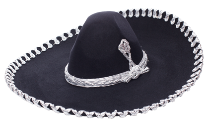 SOMBREROS CHARRO ESTILO TOQUILLA JARIPEO