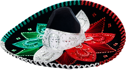 SOMBRERO ESTILO FLOR TRICOLOR