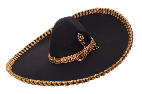 SOMBREROS CHARRO ESTILO TOQUILLA JARIPEO